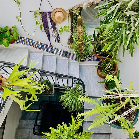 Bed and breakfast Alvorada Palermo