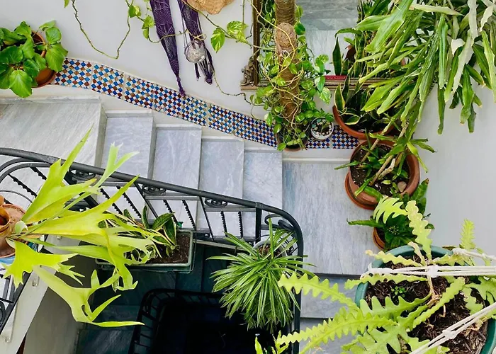 Oda ve Kahvaltı Alvorada Palermo